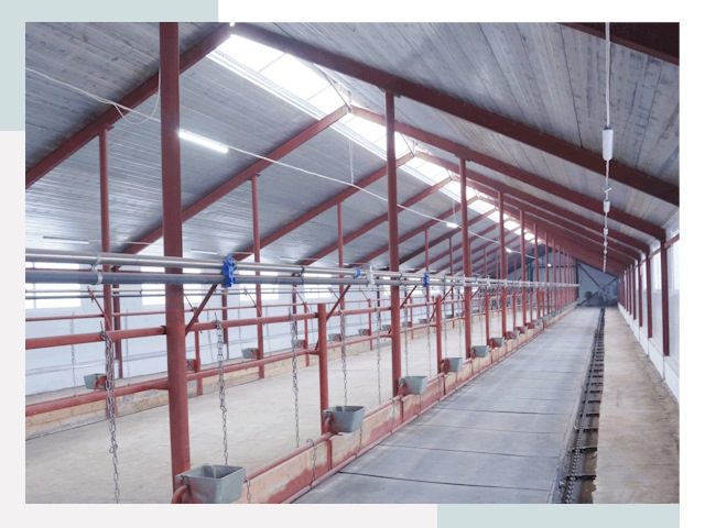 Строительство коровников в Ессентуках от 612 руб.