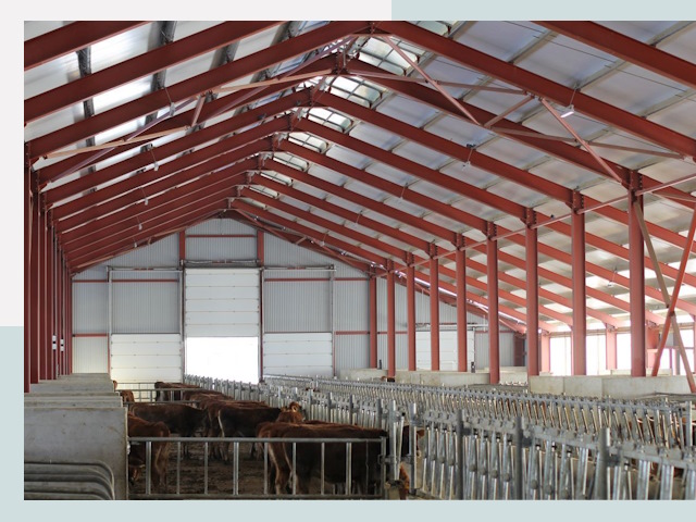 Строительство коровников в Ессентуках