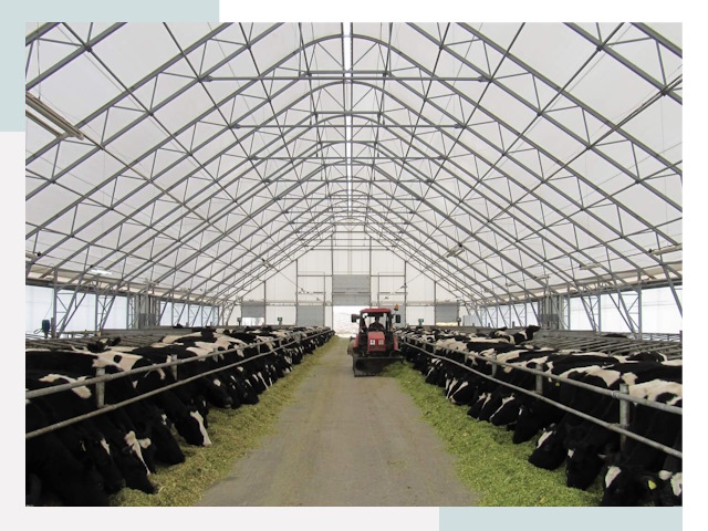 Тентовые коровники в Ессентуках от 612 руб. - Надежно и доступно