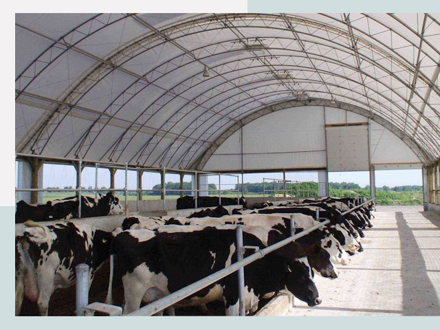 Тентовые коровники в Ессентуках